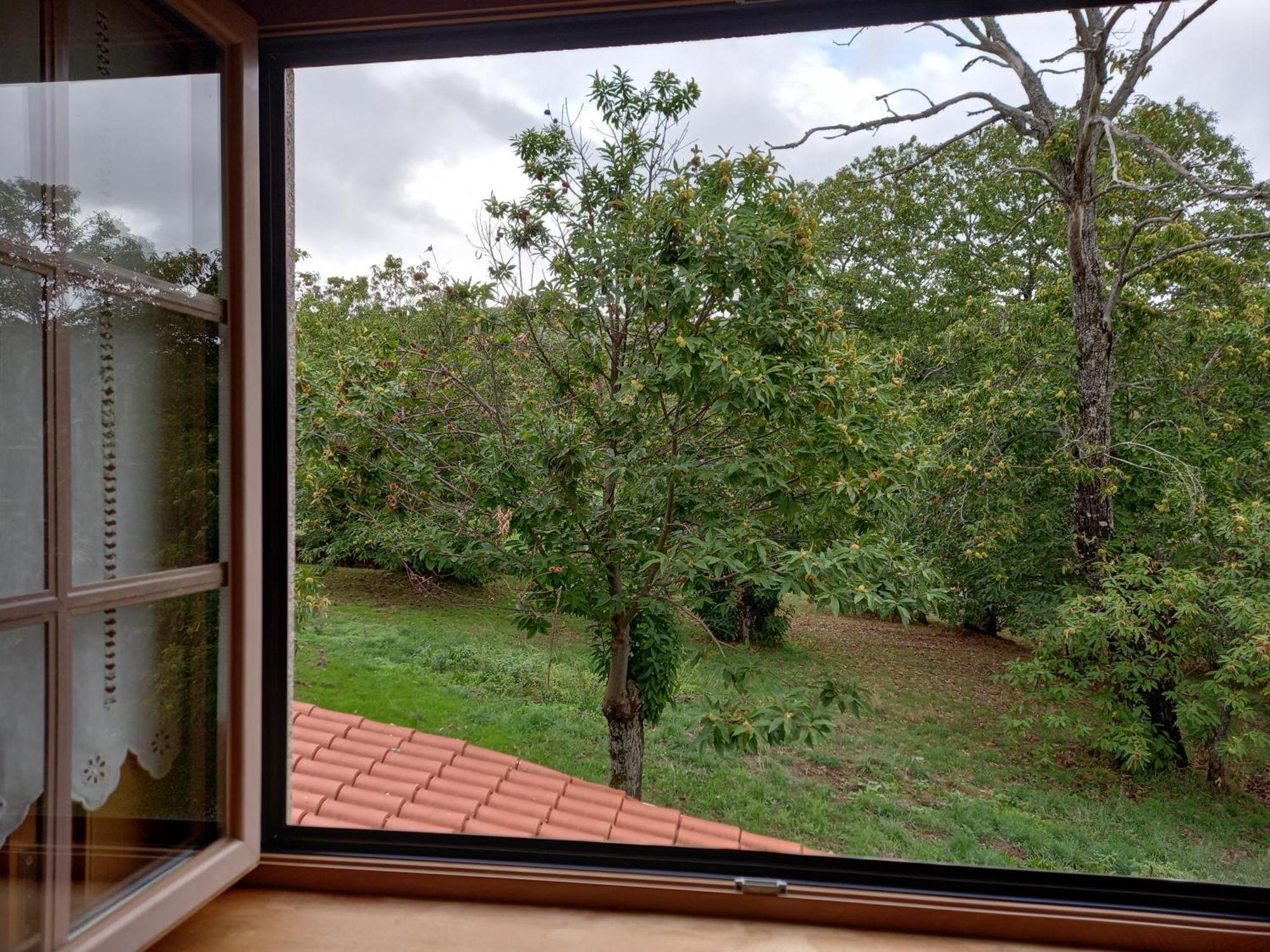 Bed and Breakfast O Bilho Vinhais Zewnętrze zdjęcie